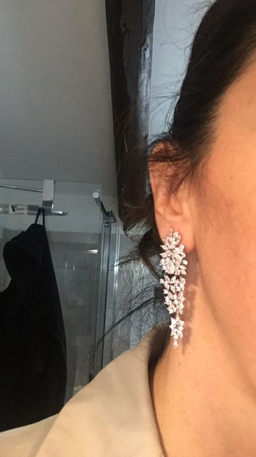 Arrivati gli orecchini! - 2