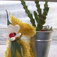 Piantina grassa segnaposto