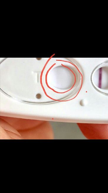 Allattamento e test 4