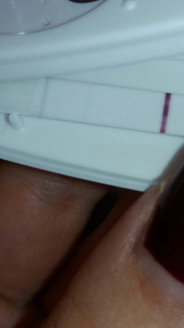  Allattamento e test - 2