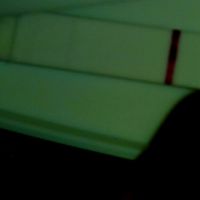  Allattamento e test - 1