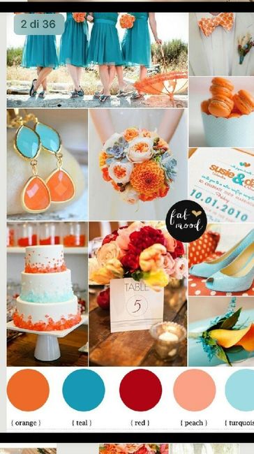 Non so che scegliereeeee - 1