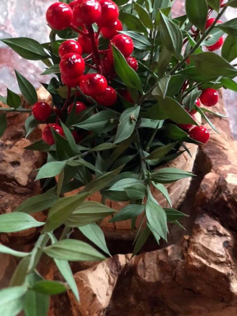 my Wedding !!!!! 🍎 8 Dicembre ❄️ - 5