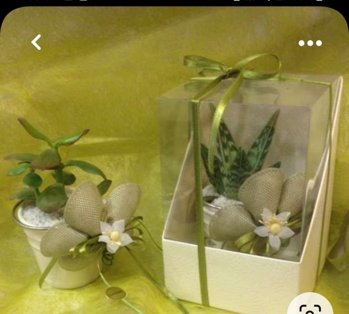 Confezionamento piantina grassa 6