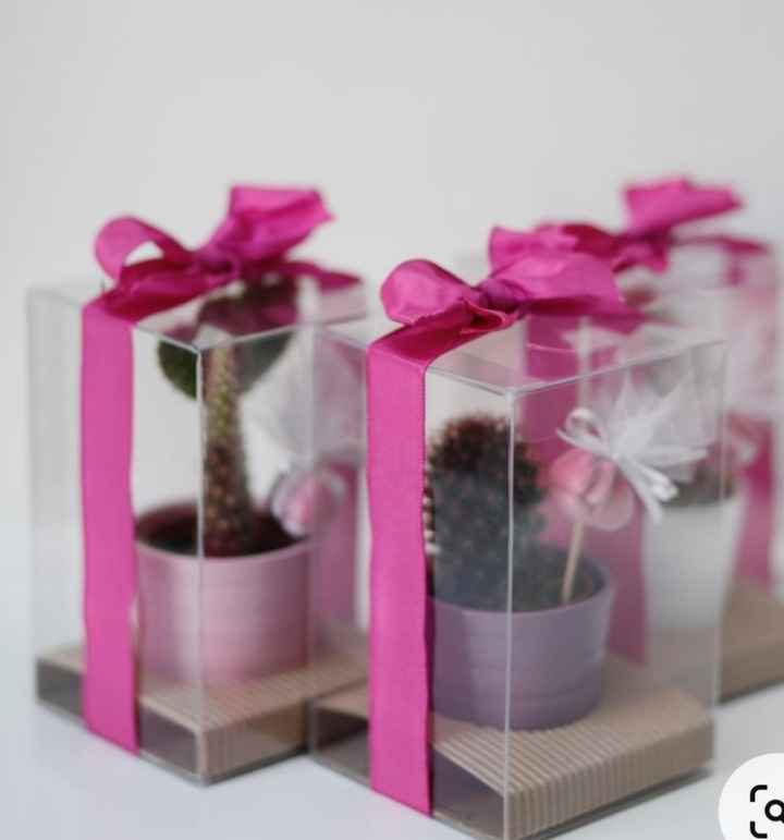 Confezionamento piantina grassa - 2