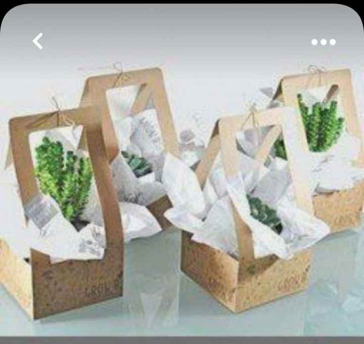 Confezionamento piantina grassa - 4