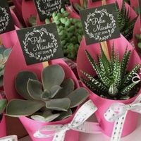 Confezionamento piantina grassa - 1