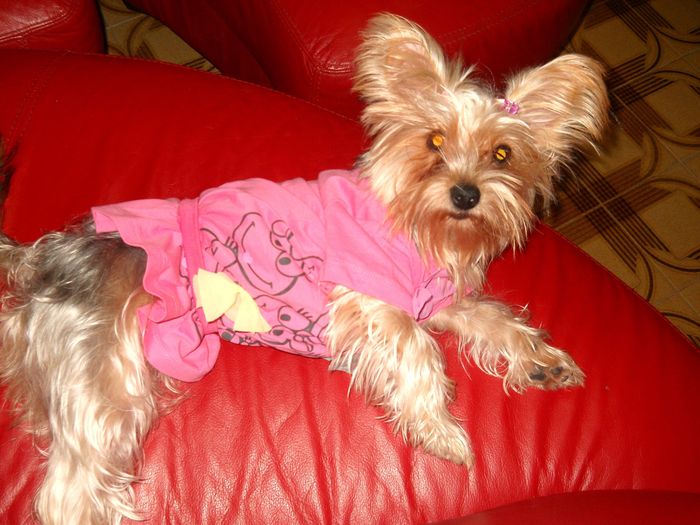 la mia cucciolotta