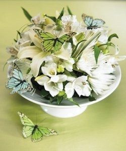 matrimonio tema farfalle