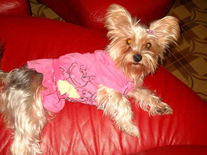 la mia cucciolotta