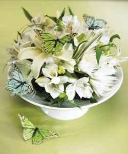 matrimonio tema farfalle