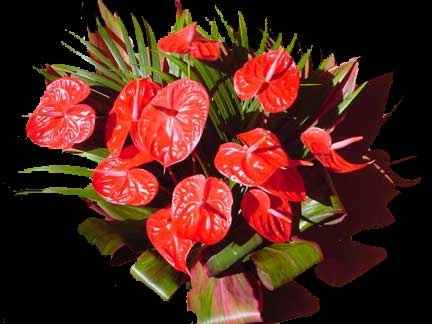 bouquet anthurium