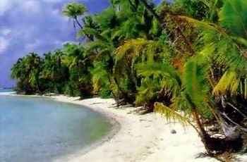 isole cook
