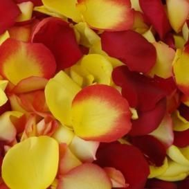 NOZZE ROSSO E GIALLO