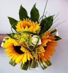 girasole matrimonio