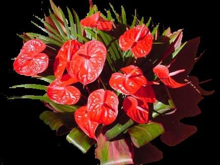 bouquet anthurium