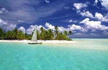 isole cook