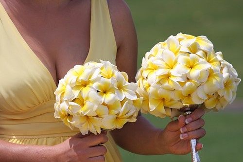 matrimonio in giallo e bianco