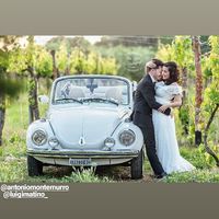 Ci siamo sposati un mese fa - 3