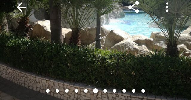 Spose dicembrine e campane aiutatemiiiii - 4