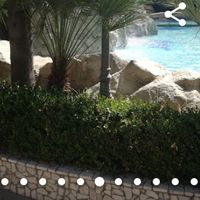 Spose dicembrine e campane aiutatemiiiii - 4