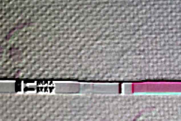 Lo vedete anche voi??? - 1