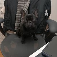 Collarino per zoe❤️ - 1