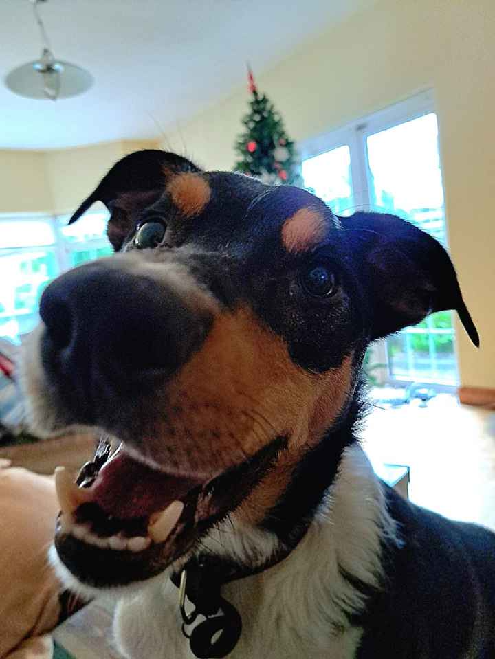 Qual è la proposta di matrimonio più romantica e speciale? - 1