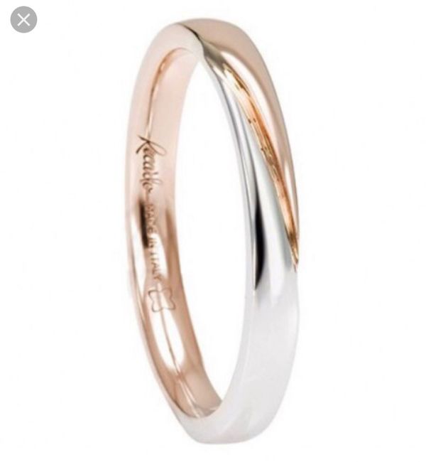 Fedi, comincia la ricerca! - 2