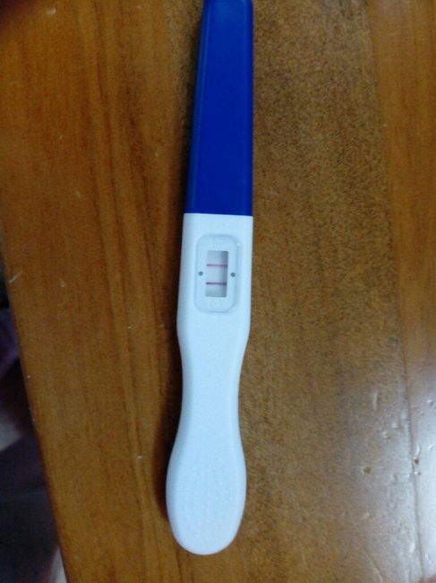 Febbraio 2019 - le aspiranti future mamme 2