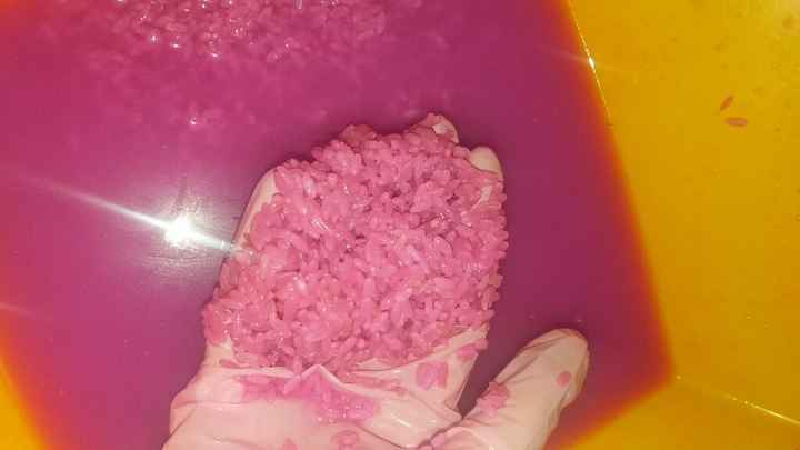 1 prova riso colorato - 1