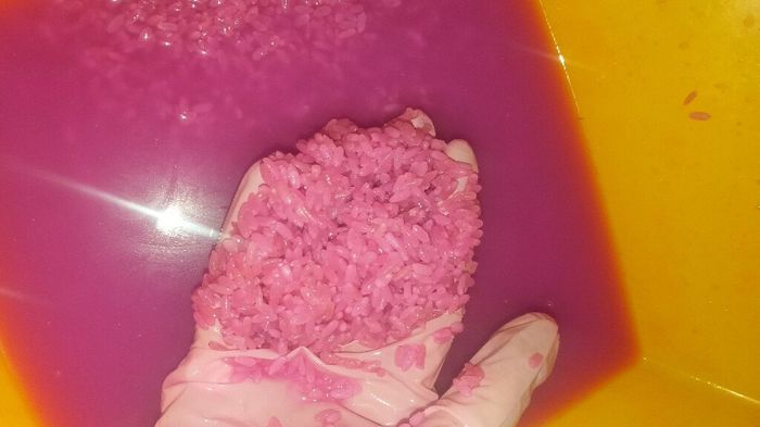 1 prova riso colorato - 1