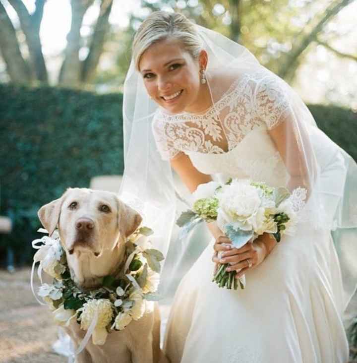 Il mio ci sarà, il vostro? - 1