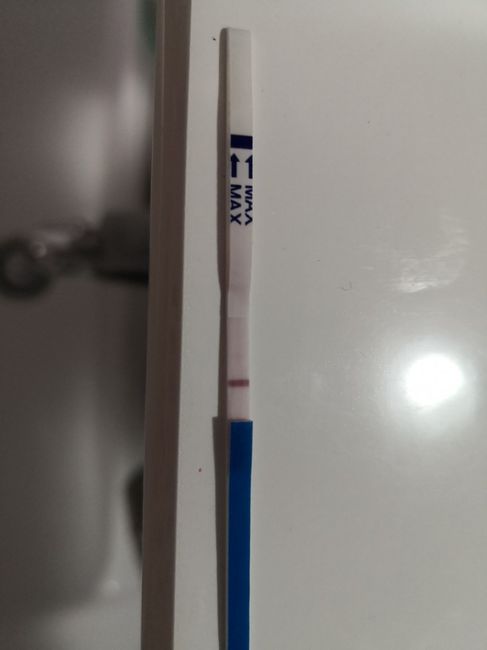 Canadese gravidanza: ghost Line o positivo??? - 1