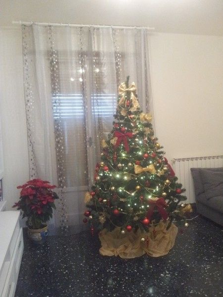 Pubblichiamo la foto dei nostri alberi!! ;) - 1