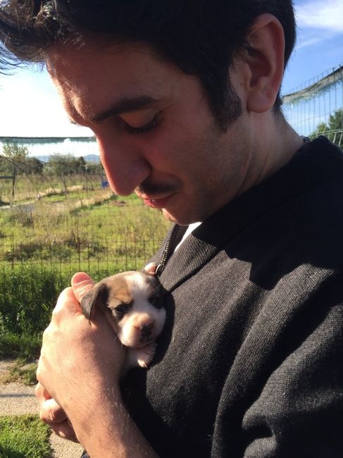 I nostri amici animali.. - 2