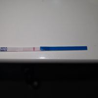 Canadese gravidanza: ghost Line o positivo??? - 2