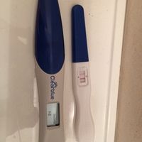 Ma voi la vedete ?? - 1