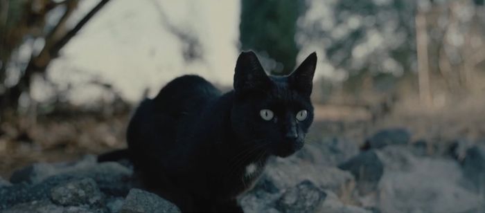 Fotogrammi dal nostro Video Pre-wedding ❤️ 6