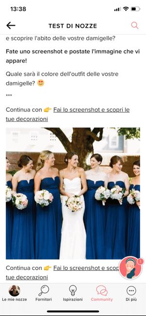 Fai lo screenshot e scopri il vestito delle tue damigelle - 1
