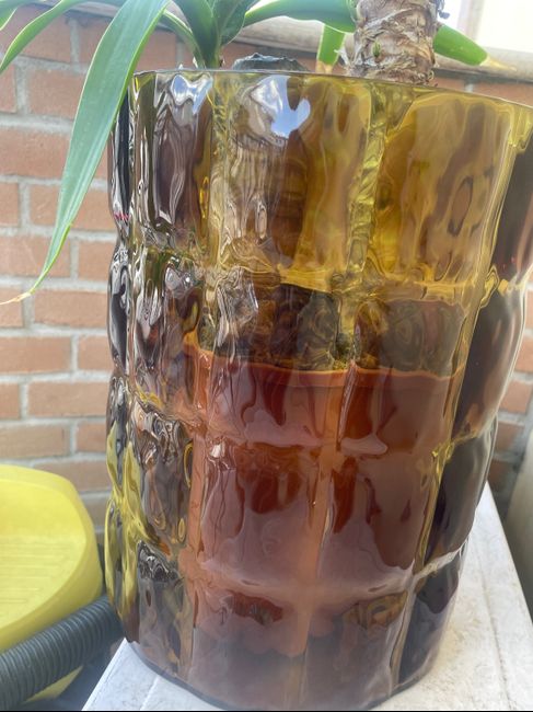 Regalo più brutto 😂 2