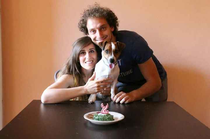 Help amico a 4 zampe ! - 1