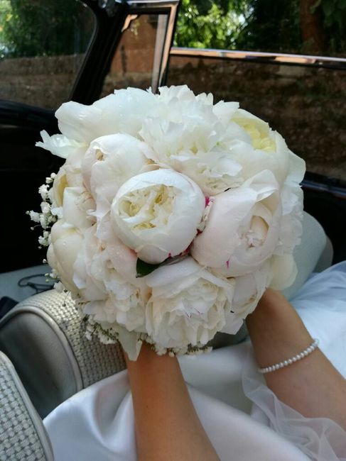 Peonie peonie peonie - 1