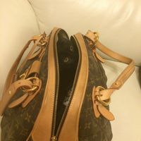 Too cute: i vostri amici animali - 1