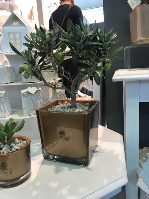 Scelta bomboniere - 1