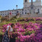 Lucrezia