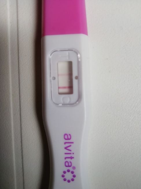 Test ovulazione come test di gravidanza. 1