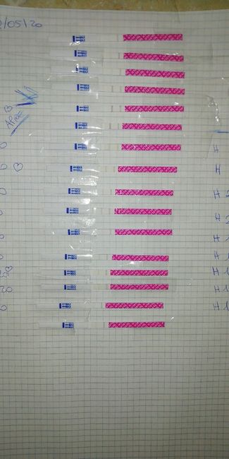 Chi non le aspetta per Maggio 2020 1
