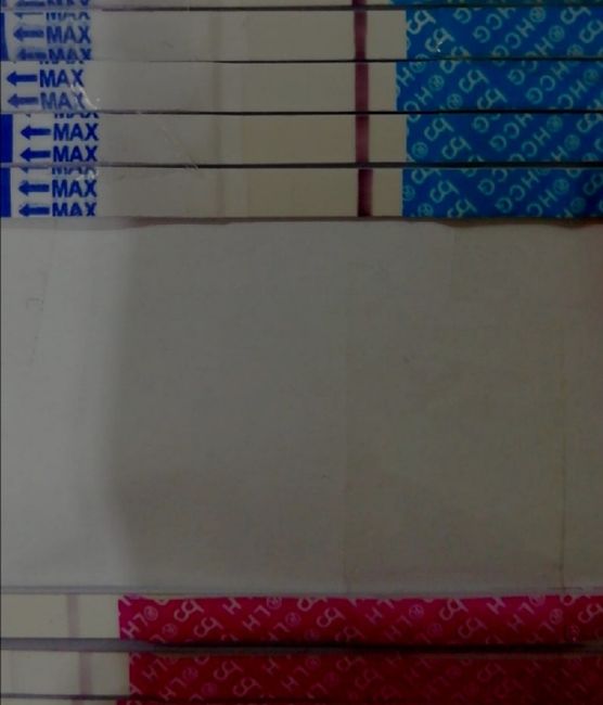 temperatura basale 4