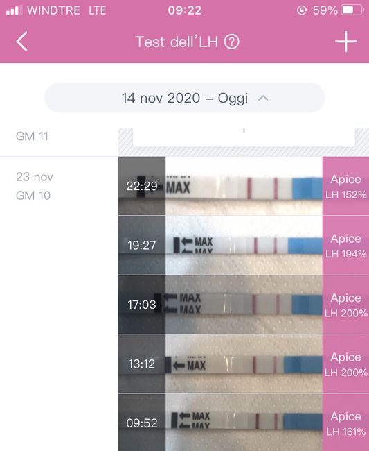 Chi non le aspetta per Novembre  2020 🍀❤️🍀❤️🍀❤️🍀❤️🍀❤️🍀❤️🍀 1